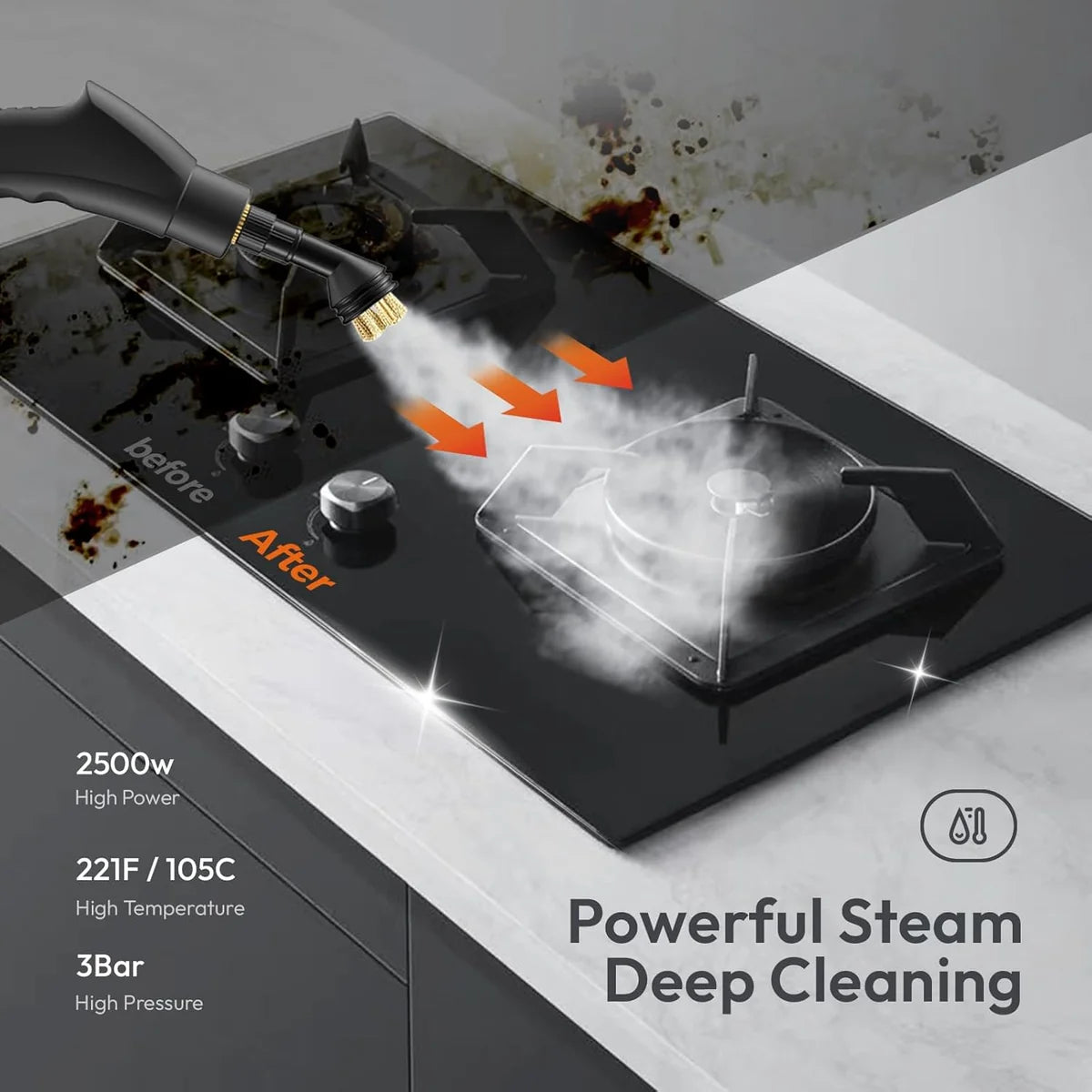 Portabel Steam Cleaner