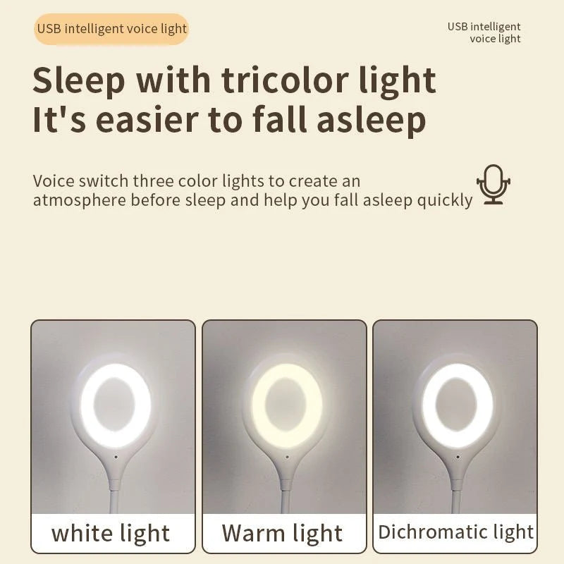 Smart  Voice  Controi  USB  Light