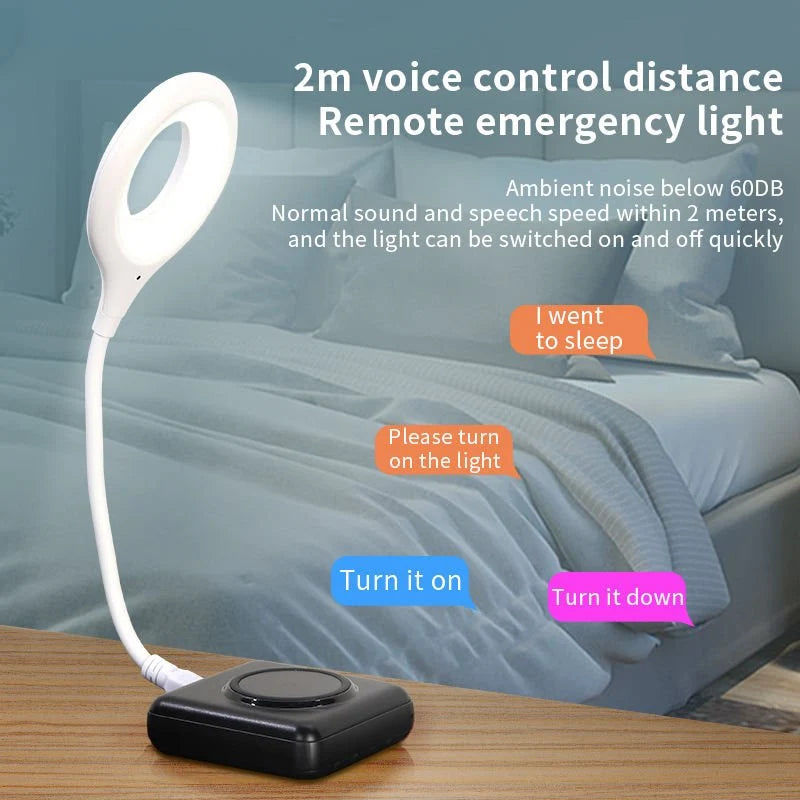 Smart  Voice  Controi  USB  Light